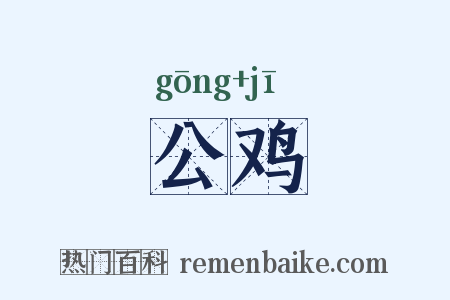 公鸡是什么意思的图片